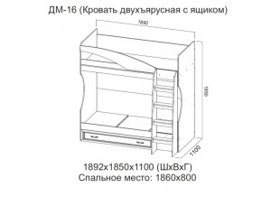 ДМ-16 Кровать двухъярусная с ящиком в Мегионе - megion.магазин96.com | фото