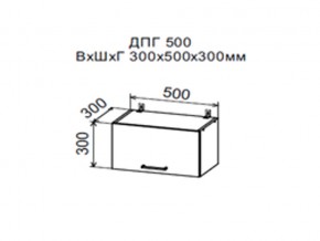 Шкаф верхний ДПГ500 горизонтальный в Мегионе - megion.магазин96.com | фото