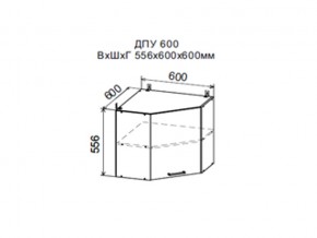 Шкаф верхний ДПУ600 угловой в Мегионе - megion.магазин96.com | фото